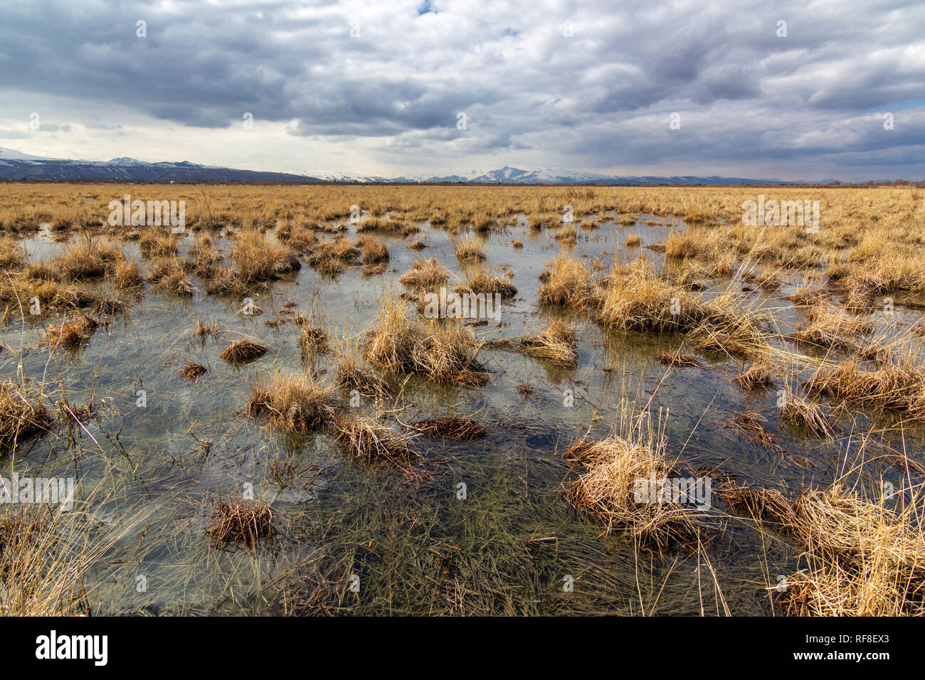 Wetlands around Lake Urmia, West Azerbaijan province, Urmia, Iran Stock
