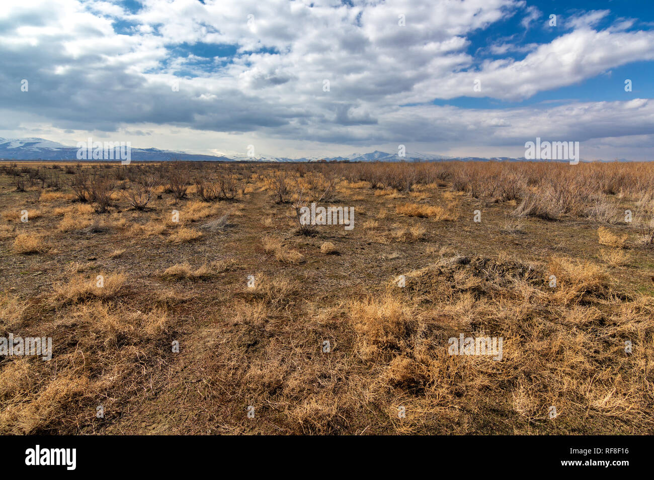 Wetlands around Lake Urmia, West Azerbaijan province, Urmia, Iran Stock