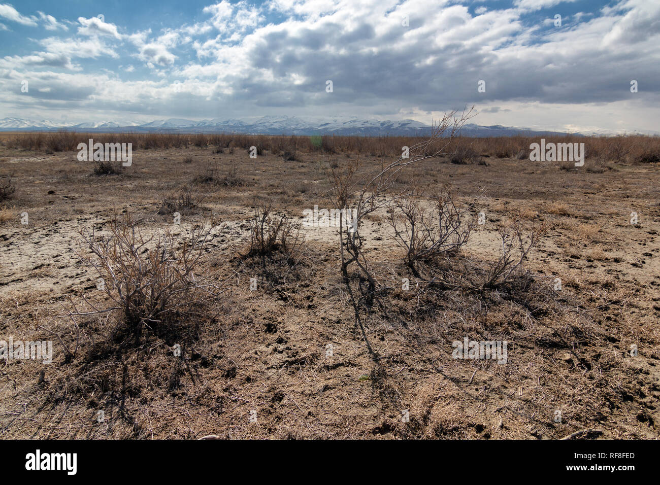Wetlands around Lake Urmia,  West Azerbaijan province, Urmia, Iran Stock Photo
