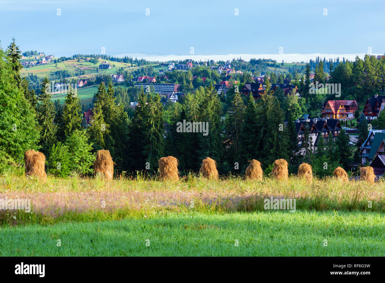 Summer mountain village outskirts with haystacks (Poland Stock Photo ...