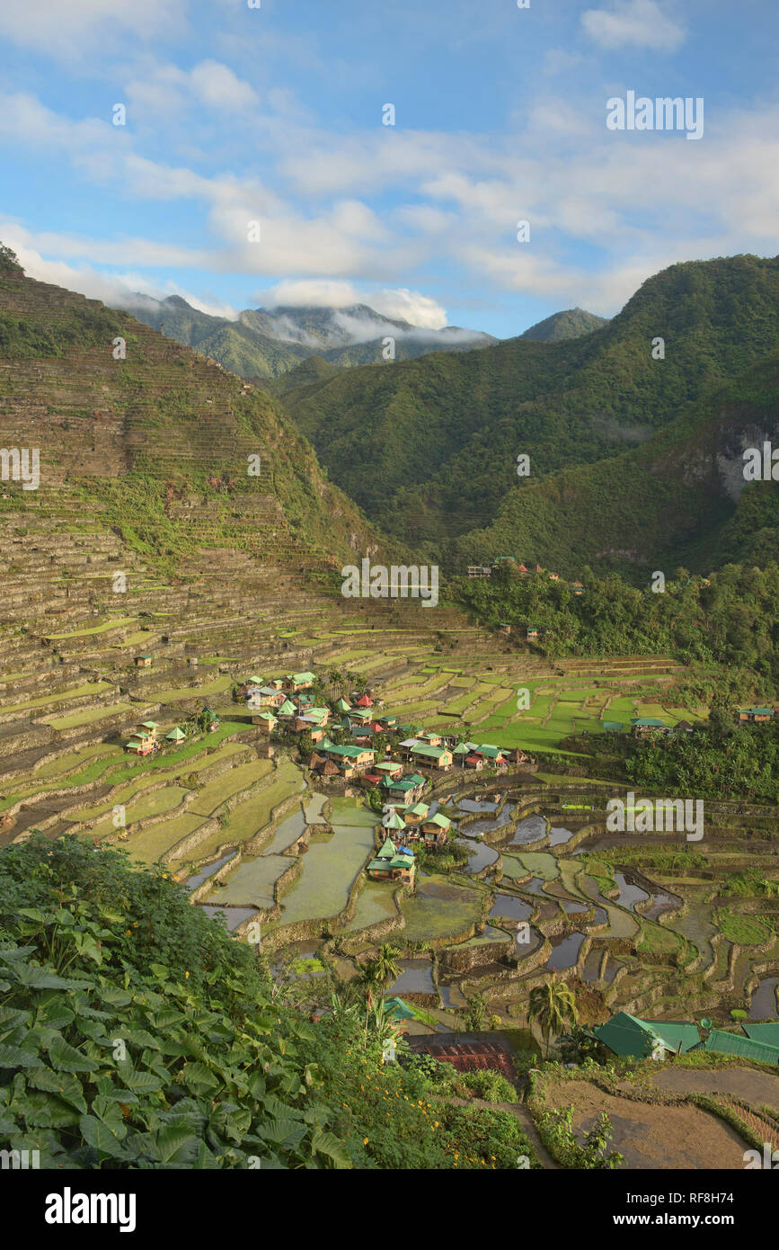 The amazing UNESCO rice terraces of Batad, Banaue, Mountain Province, Philippines Stock Photo