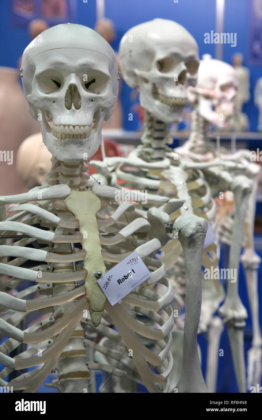 Anatomical dummies, Medica 2007, world's biggest trade show for medical equipment and technologies, Duesseldorf Stock Photo