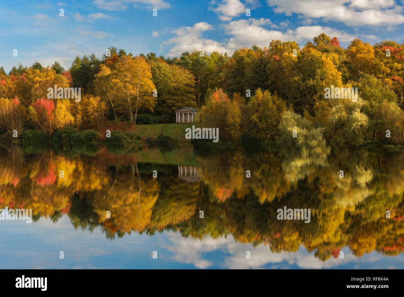Refected leaves hi-res stock photography and images - Alamy