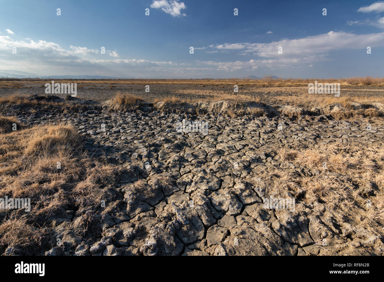 Wetlands around Lake Urmia,  West Azerbaijan province, Urmia, Iran Stock Photo