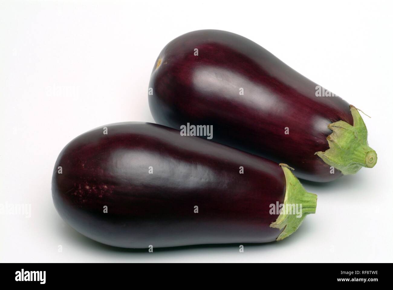 Eggplant or Aubergine (Solanum melongena Stock Photo Alamy