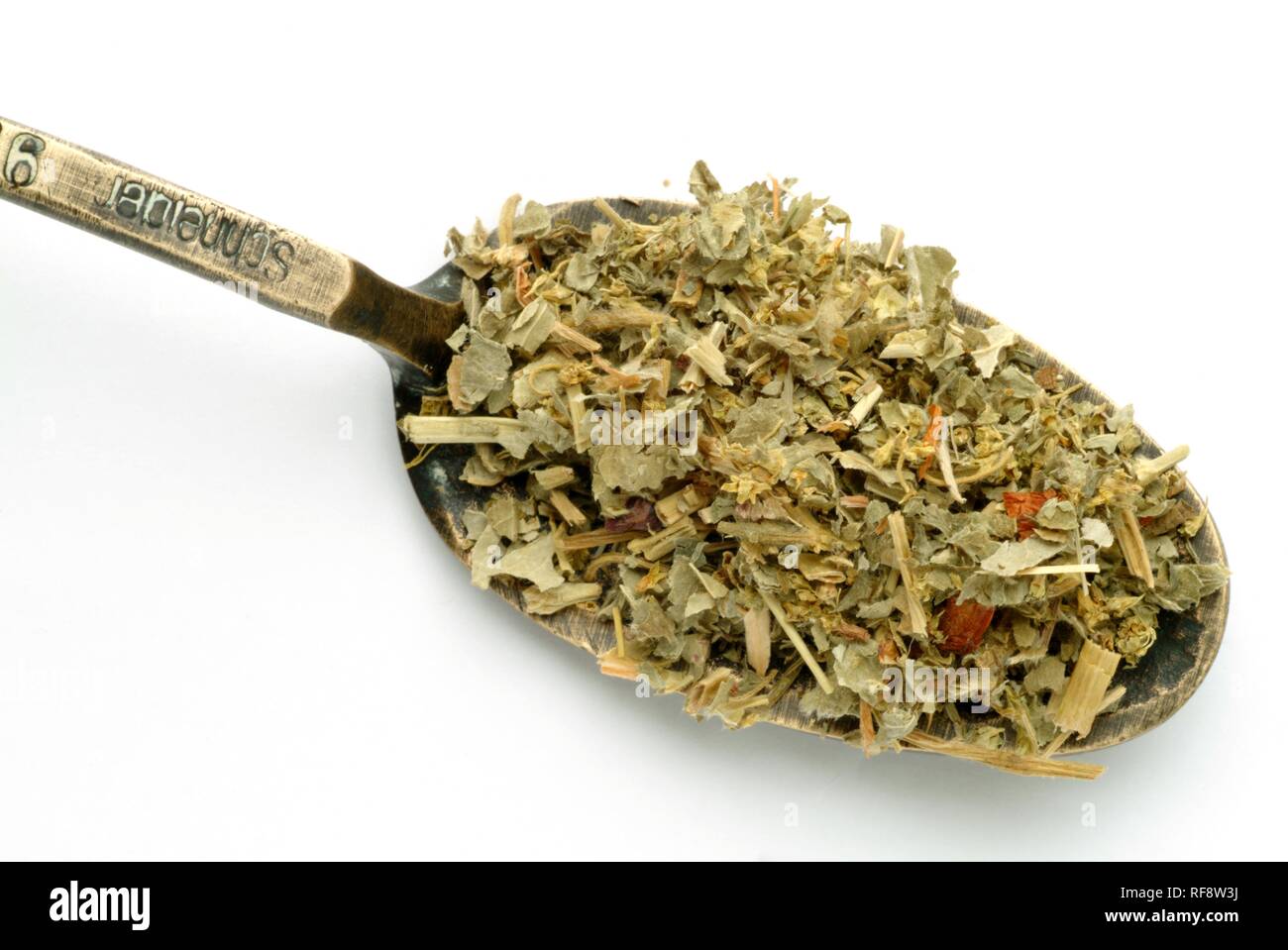 Lady's Mantle (Alchemilla alpina), dried herb, medicinal plant, tea Stock Photo