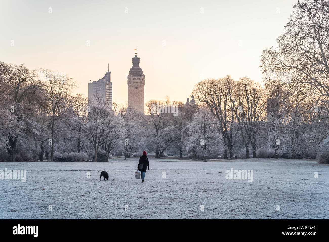 Leipzig im Frost, Johannapark, Spaziergängerin mit Hund mit Blick zum Neuen Rathaus und zum City-Hochhaus Stock Photo