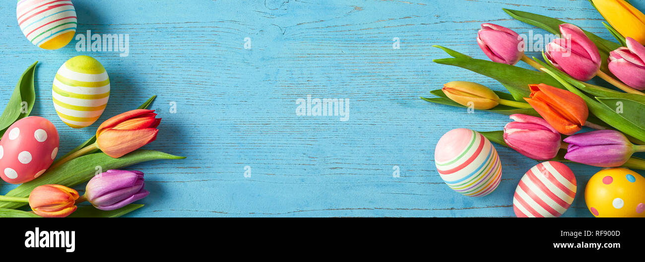 Fresh tulips and Easter eggs in a colorful turquoise blue banner with ...