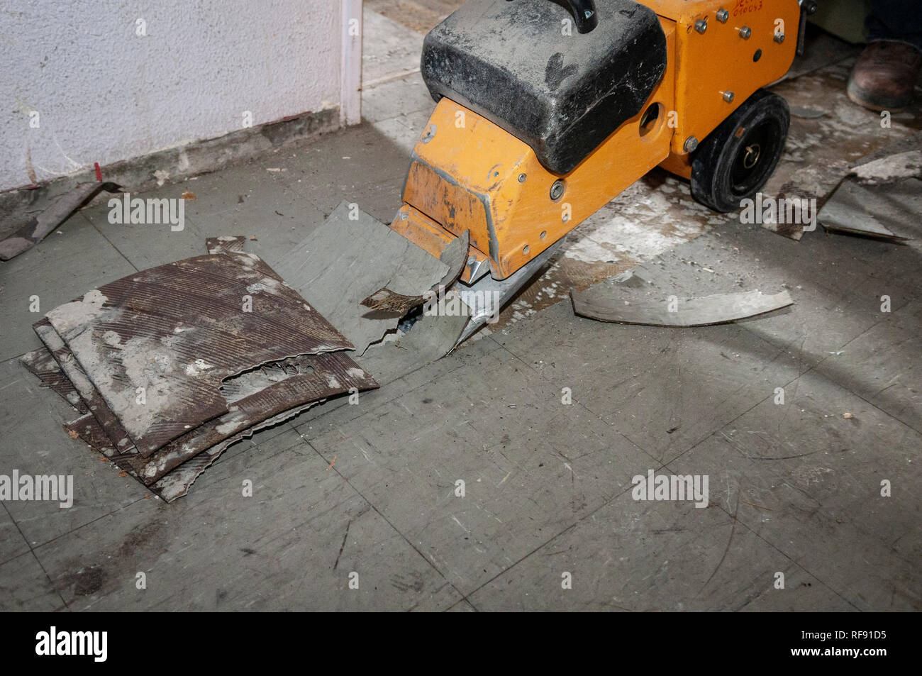 Action for asbestos removal. Takeoff of flooring using a machine. Floor covering, and glue containing asbestos Stock Photo