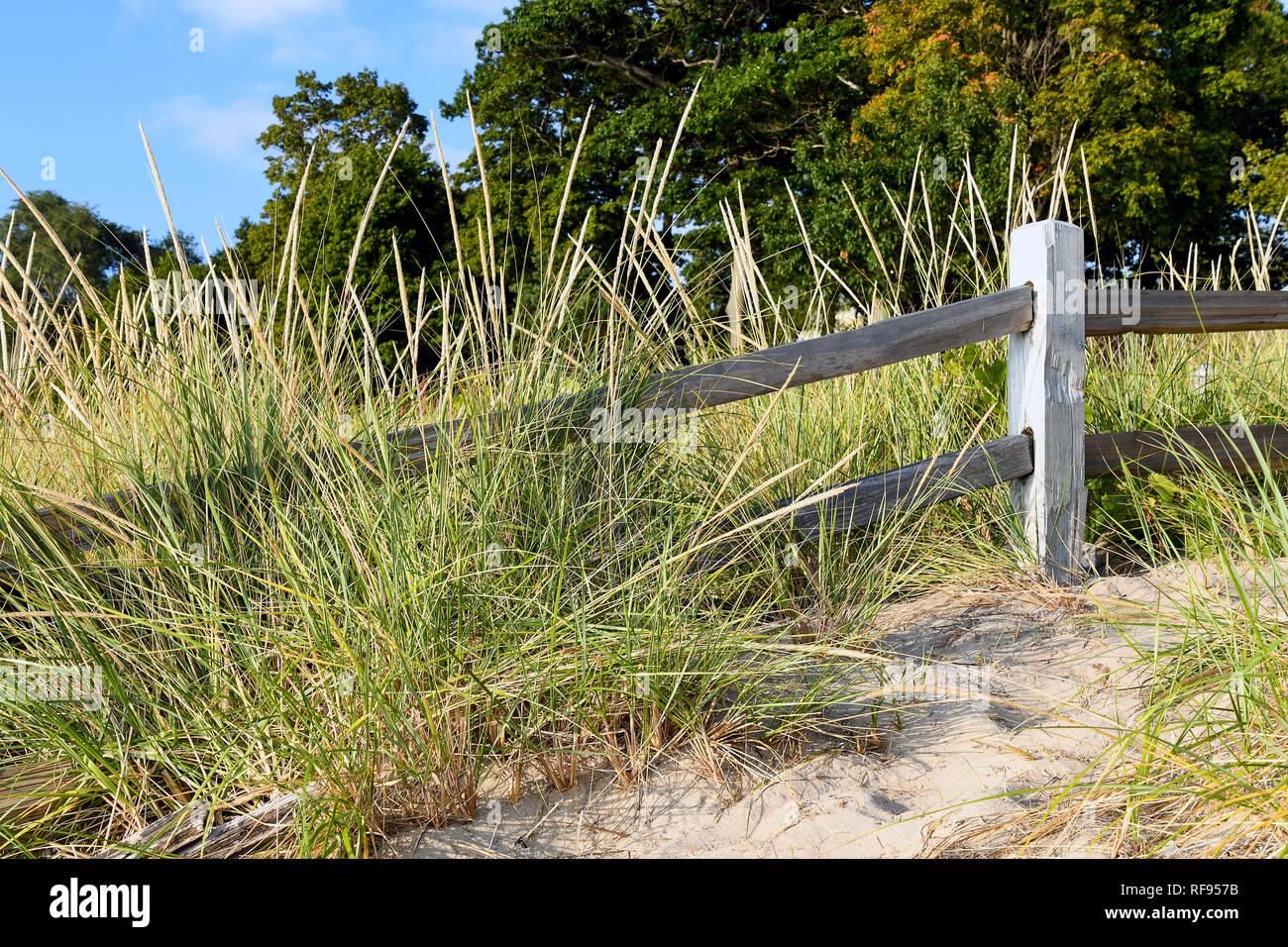 rustic weathered fence in dune grass on Michigan sand dune Stock Photo