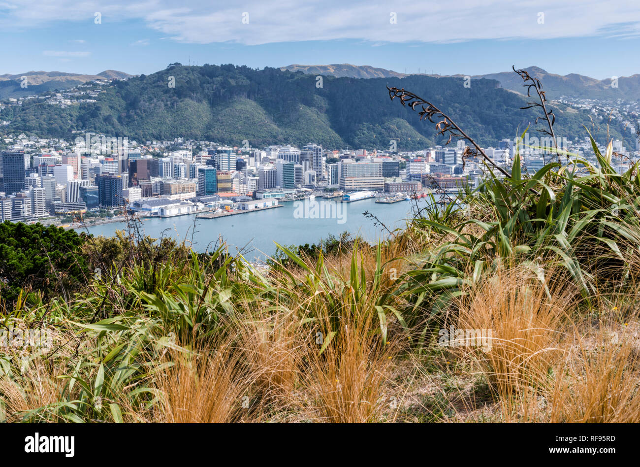Views of New Zealand's capital city Wellington from Mt Victoria lookout, on a warm autumn day. Stock Photo