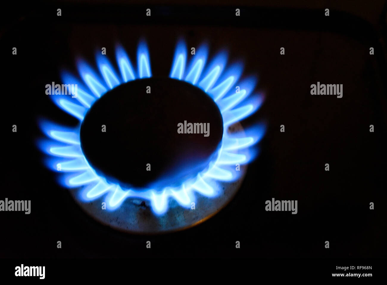 Gas hob flame. Blue flame from a gas powered hob alight on a black background. Blue natural gas flame from a cooker appliance. Space for copy Stock Photo