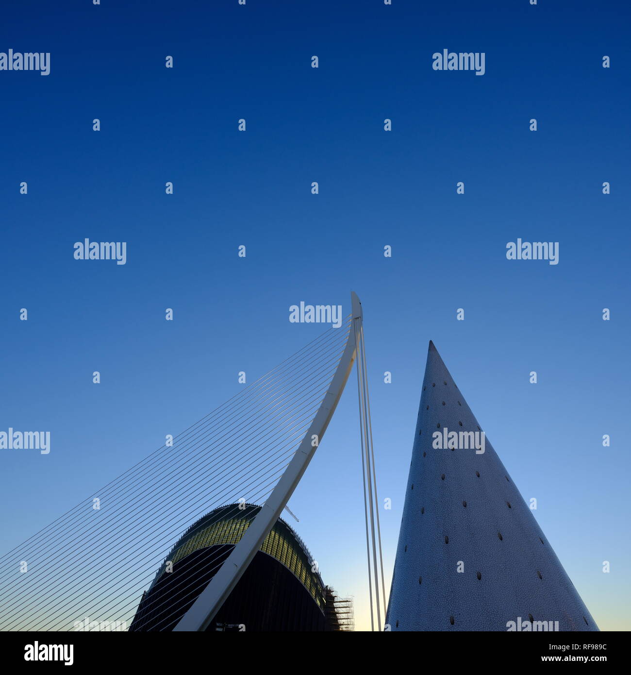 My Image 6