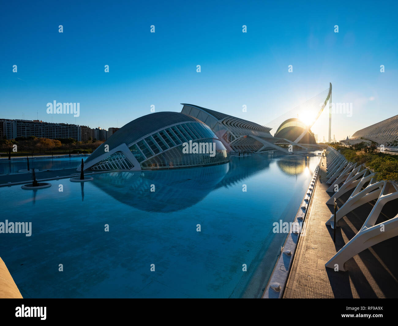 City of Art & Science Museum by Architect Santiago Calatrava in ...