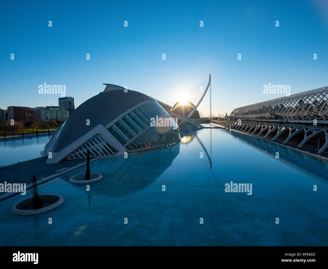 City of Art & Science Museum by Architect Santiago Calatrava in