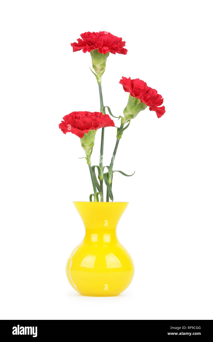 Three carnation flowers in vase isolated on white Stock Photo - Alamy