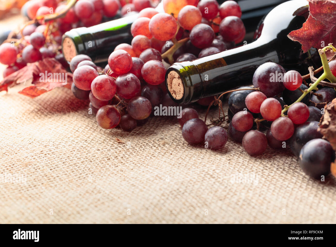 Red wine bottles and fresh grapes with dried up vine leaves on burlap