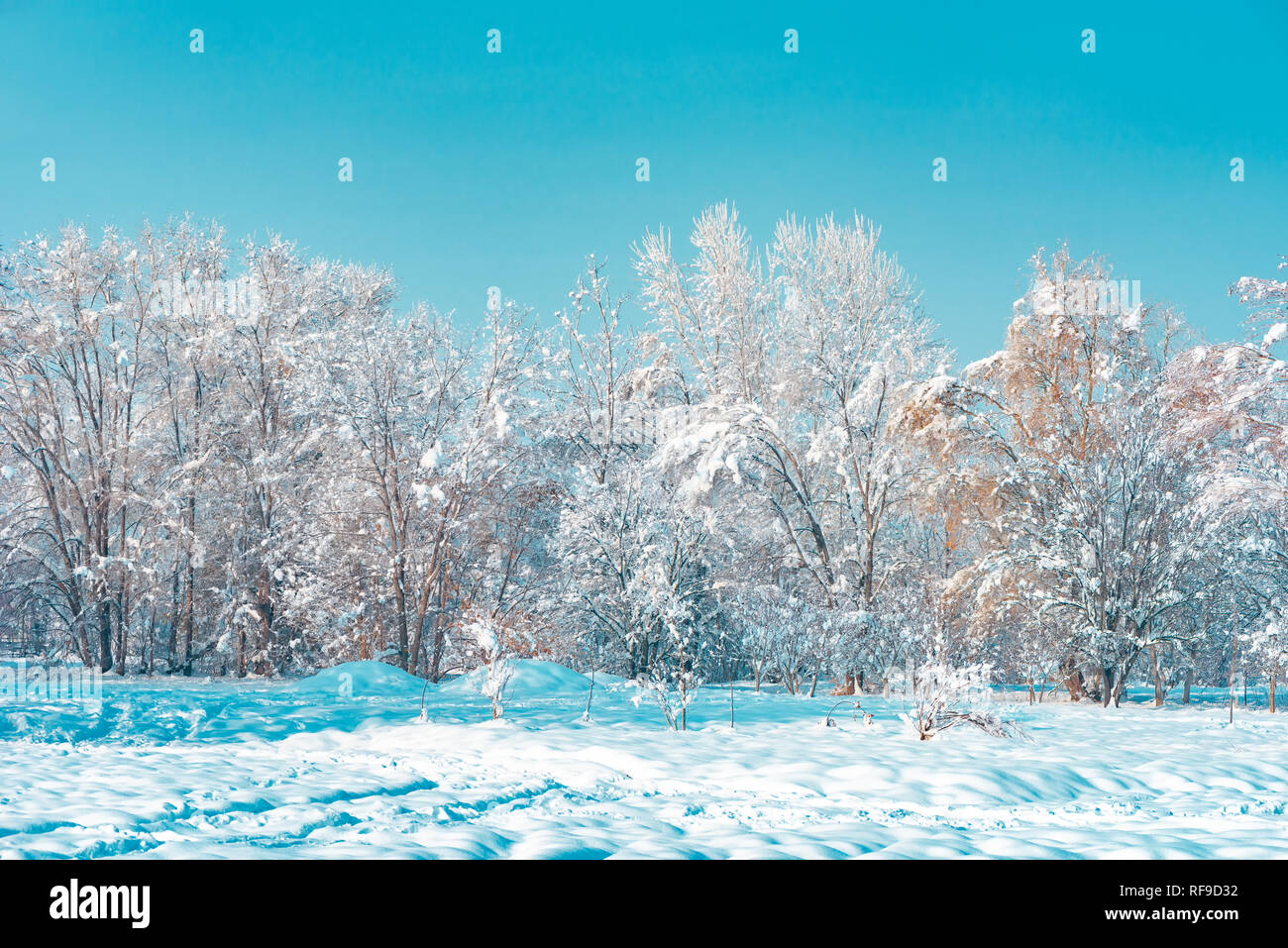 Serbia winter snow hi-res stock photography and images - Page 11 - Alamy