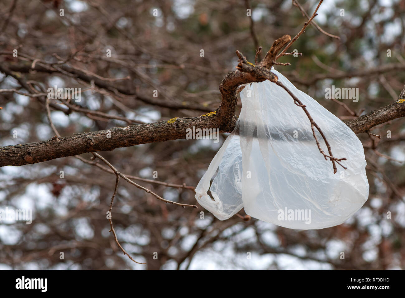 Plastic pollution tree hires stock photography and images Alamy