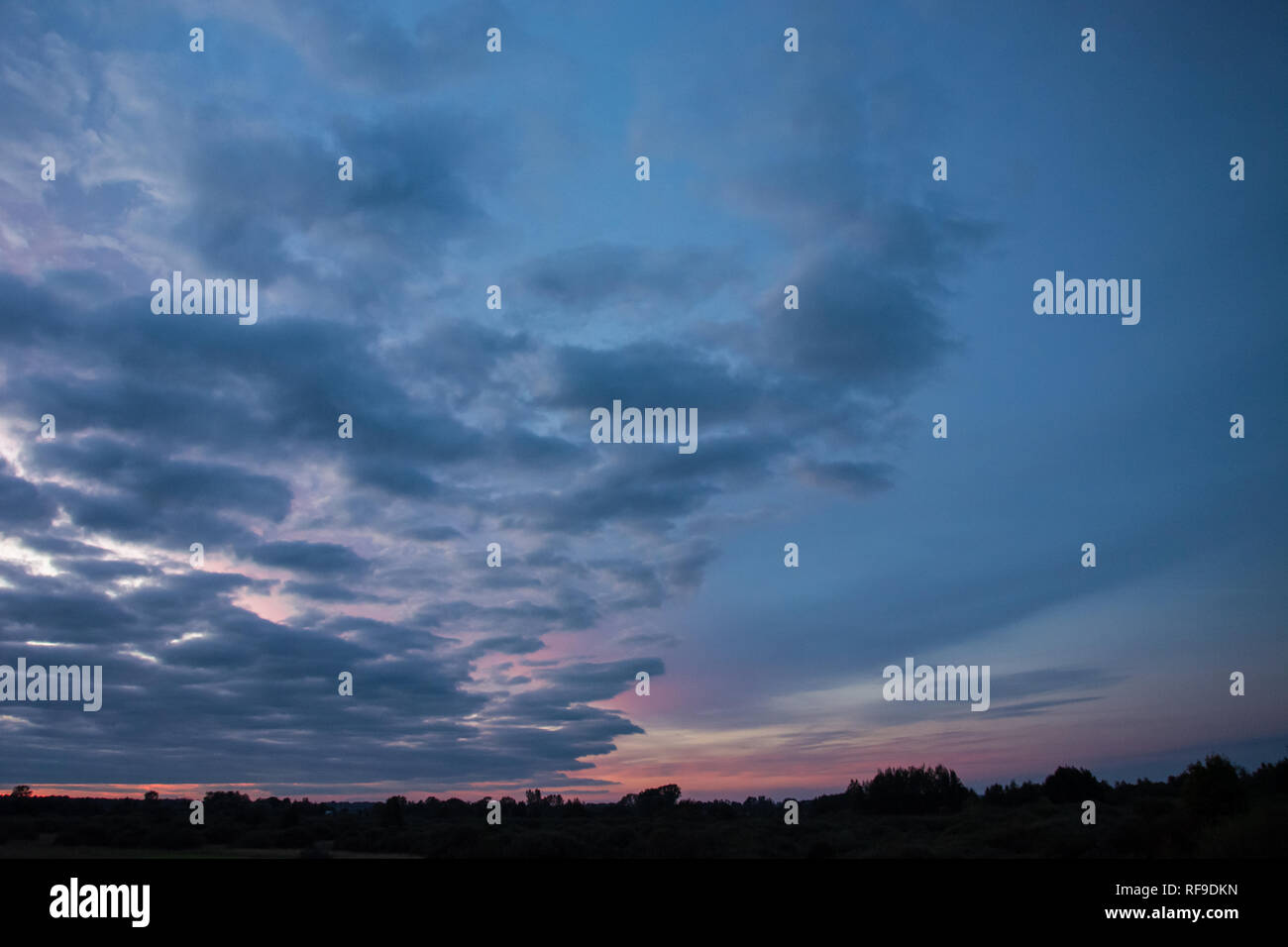 Colorful clouds in the sky after sunset and trees on the horizon Stock ...