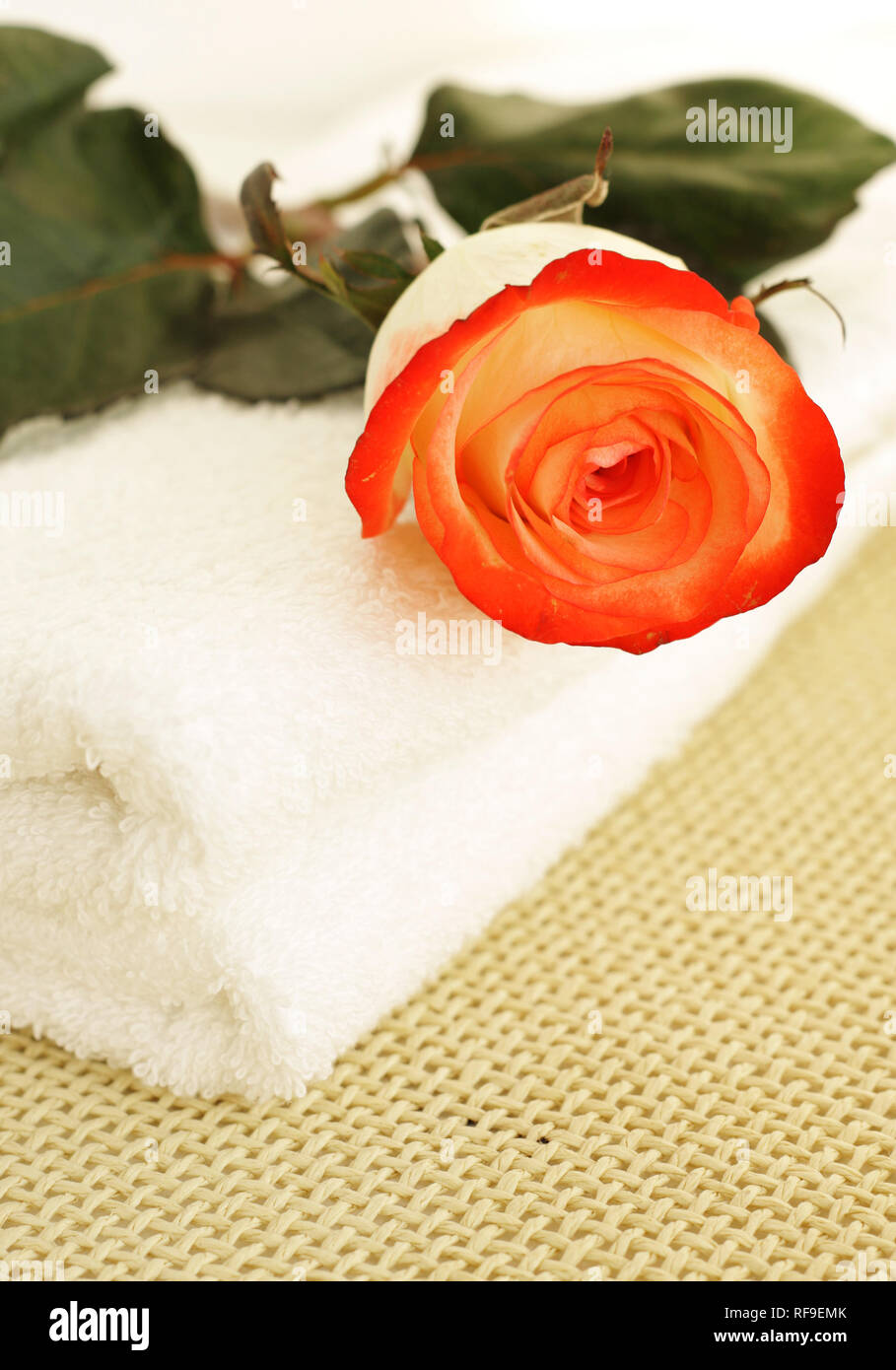 Red Rose Urna Fiorita Towel