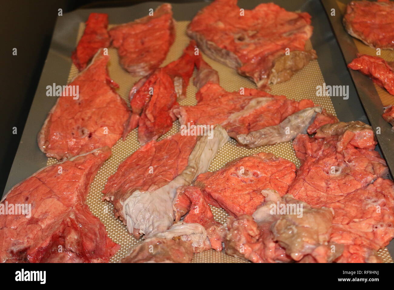 dehydrated chicken jerky for dogs