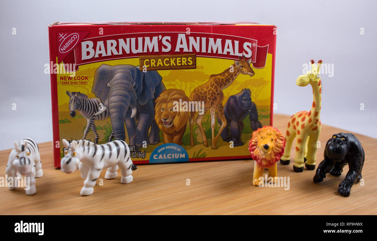 jungle animal toy box
