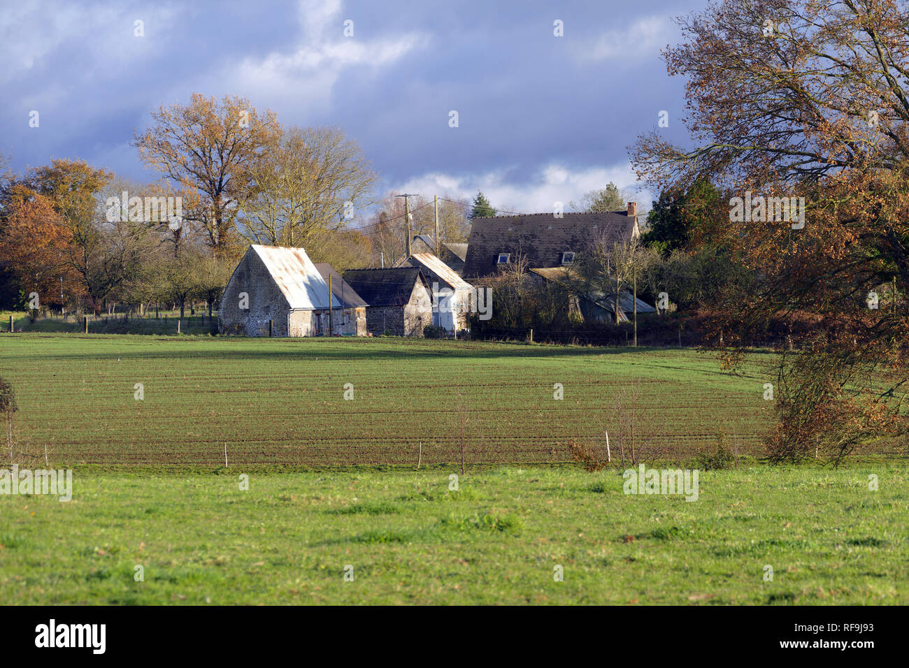 Farm in winter, north west of France, north Mayenne (Mayenne department, Pays de la Loire, France, Europe). Stock Photo