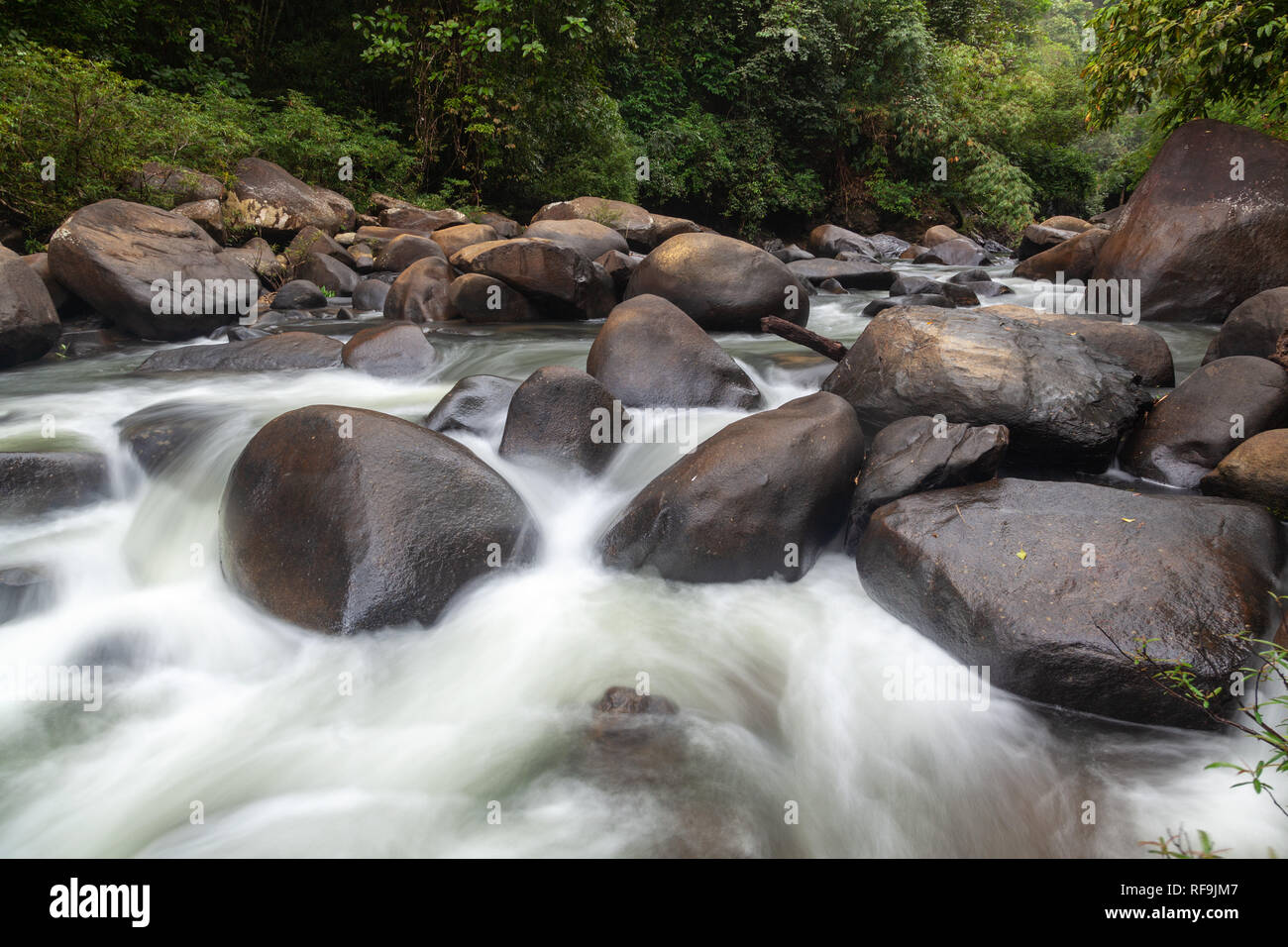 Rapids on a river in Khao Sok National Park, Thailand Stock Photo