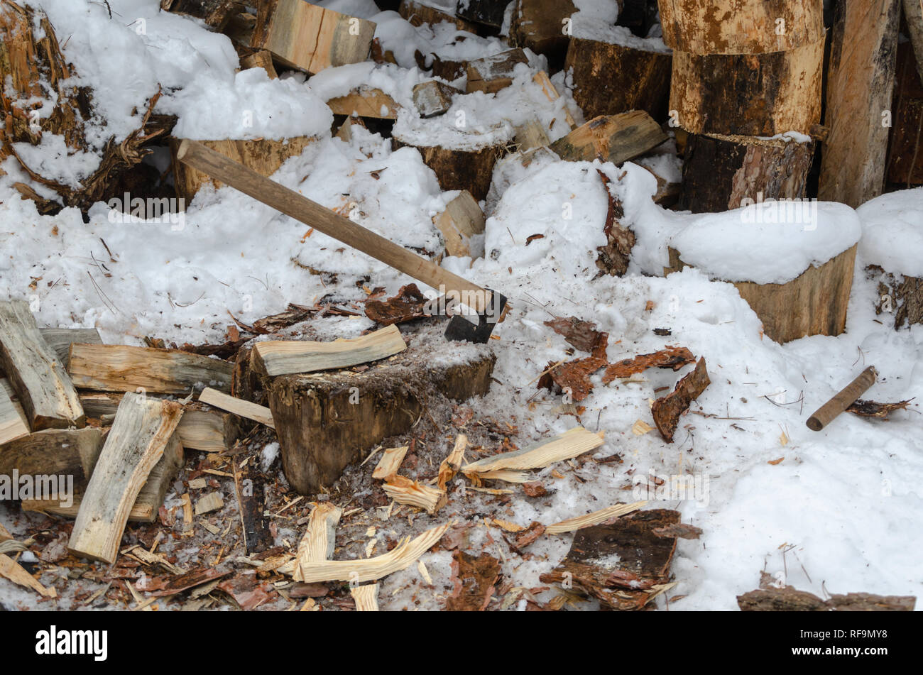 Old rusty ax stuck in a dry wooden log.Tree stumps stacked in the background. Stock Photo