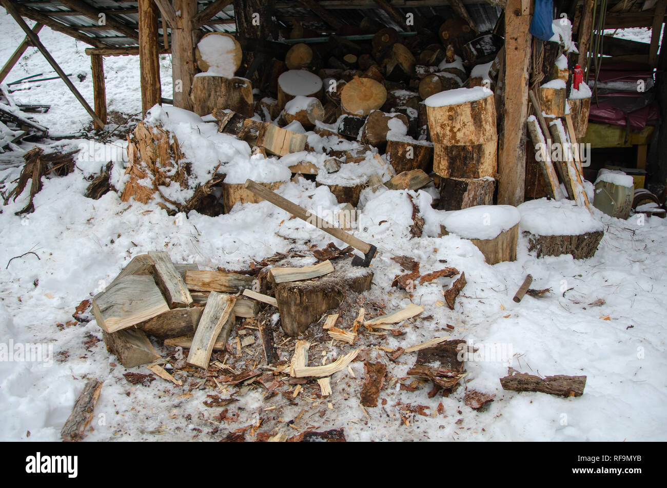 Old rusty ax stuck in a dry wooden log.Tree stumps stacked in the background. Stock Photo