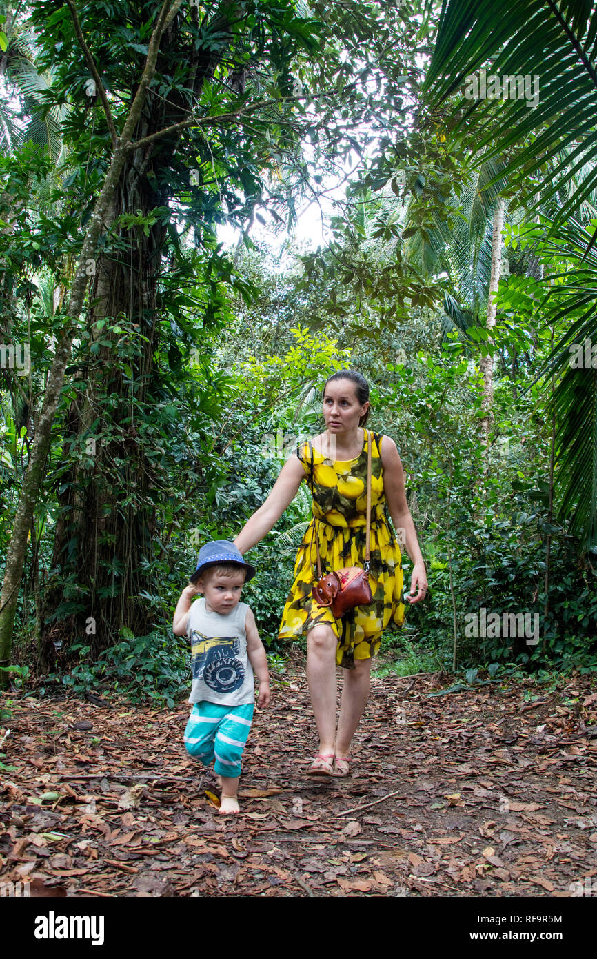 A photo of a mother and son walking hand in hand in the beautiful forest environment of Manzanillo National Park, Costa Rica Stock Photo