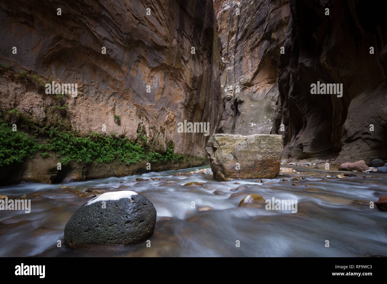 Hiking Zion National Park's famous slot canyon, The Narrows, in winter