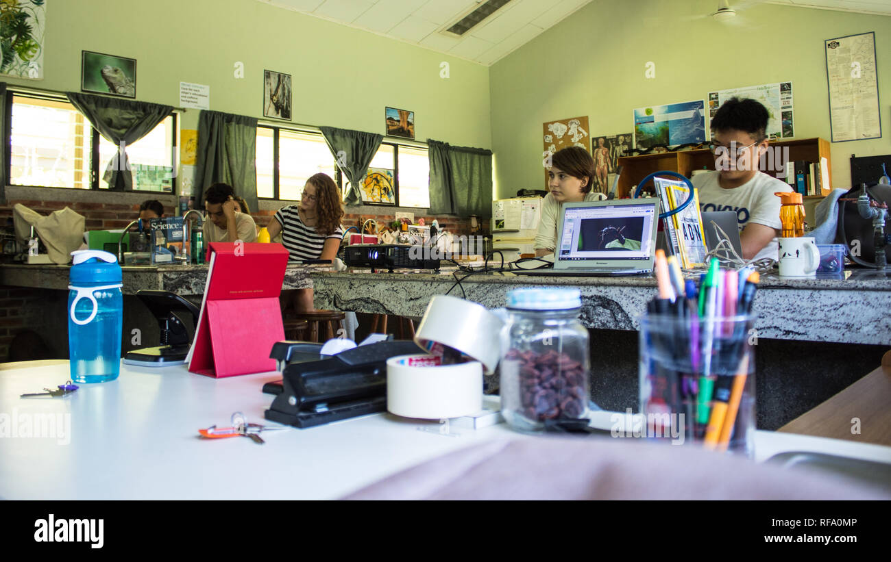 A photo of international students attending a biology class at a international baccalaureate school Stock Photo