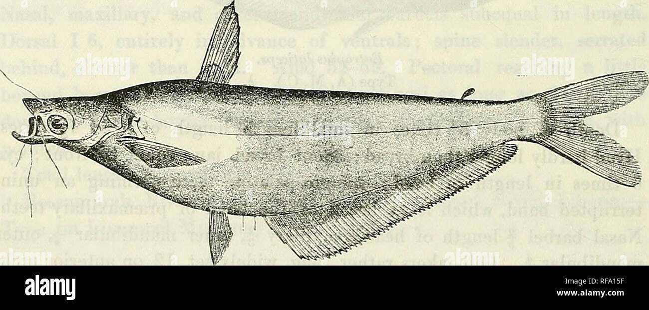. Catalogue of the fresh-water fishes of Africa in the British Museum ...