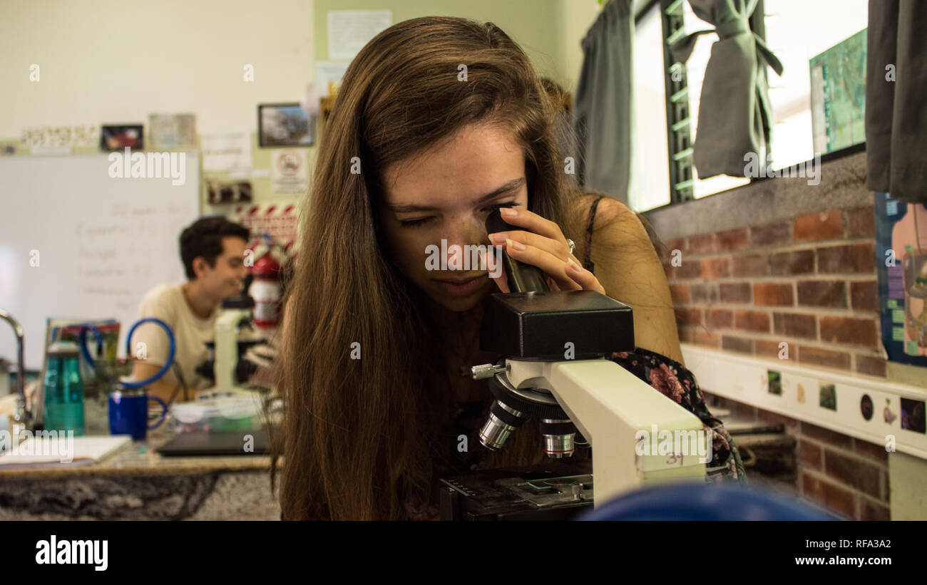 A female biology student looking through microscope in a nice science class. Stock Photo