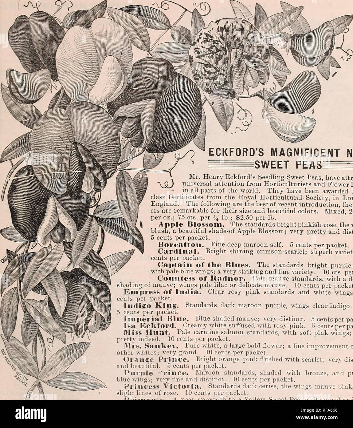 . Catalogue of the Cox Seed & Plant Co. Seed industry and trade