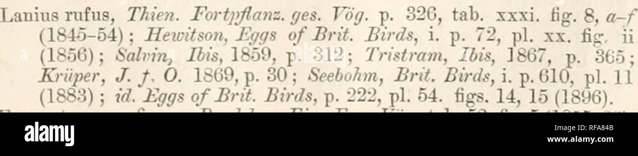 . Catalogue of the Collection of Birds' Eggs in the British Museum. PHONEUS. 279 grey. Five examples measure from 1-01 to 1-09 in length, and from -76 to -79 in breadth. 5. Santa Cruz Island, California Salvin-Godman Coll. 9th May (E. H. Beck). Genus PHONEUS, Kaup. Phoneus nubicus (LicJu.). Lanius nubicus, Baedeker, Eier Eur. Vmj. tab. 52. fig. 7 (1855-63) ; Tristram, Ibis, 1867, p. 365 ; Dresser, Birds Eur. iii. p. 417 (1871); Oadow, Cat. Birds B. M. viii. p. 282 (1883). Lanius personatus, Bree, Birds Eur. i. p. 168, pi. (1865), 2nd ed. ii. p. 22, pi. (1875) ; Kriiper, J.f. 0. 1869, p. 30. Ph Stock Photo