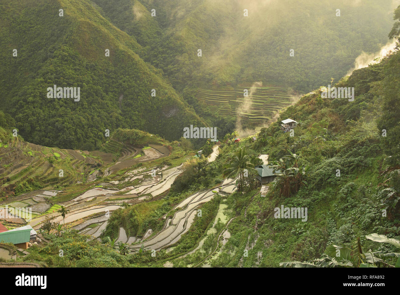 The verdant UNESCO rice terraces of Batad, Banaue, Mountain Province, Philippines Stock Photo