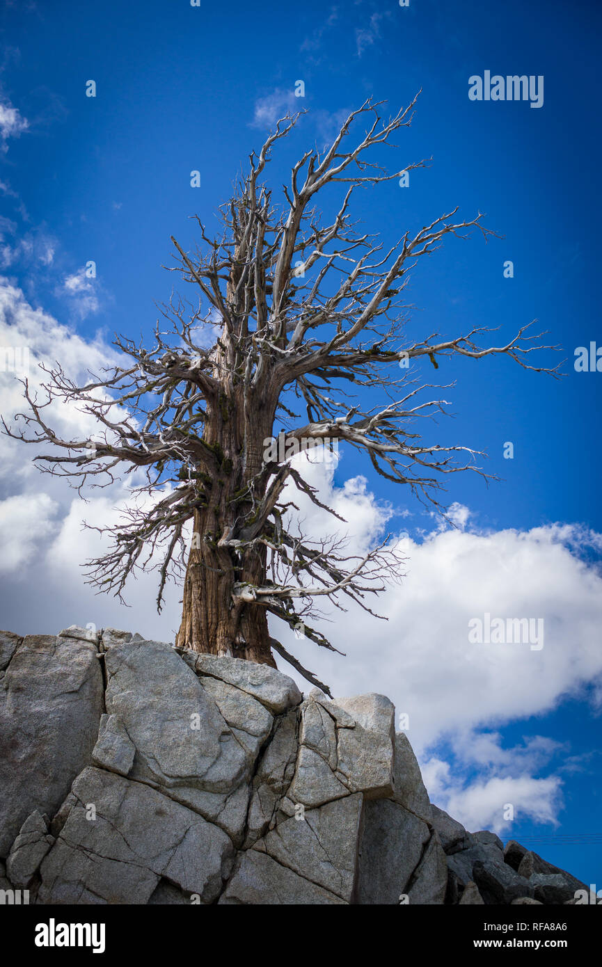 Squaw Valley is a ski resort near Lake Tahoe in Olympic Valley