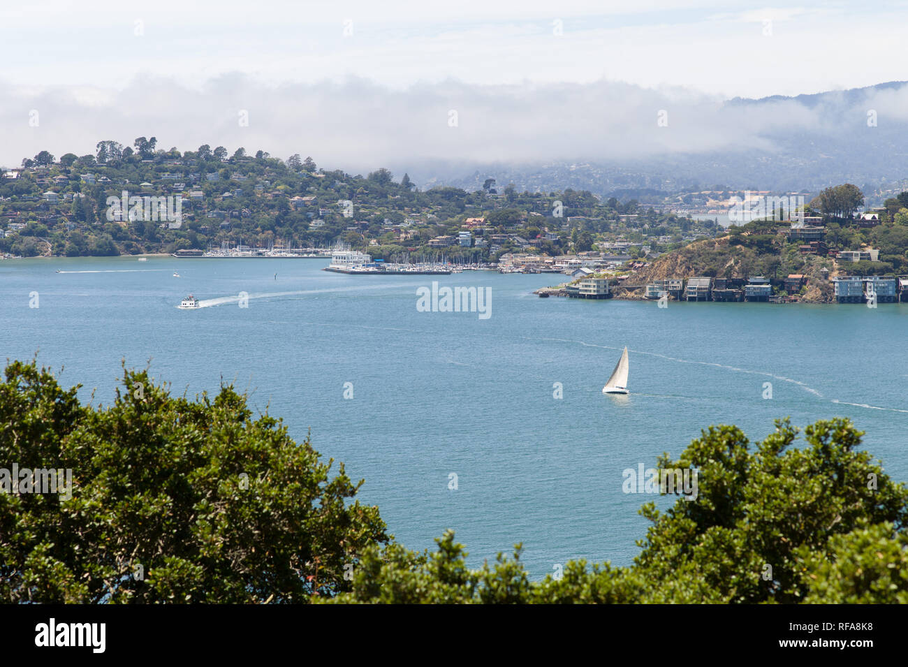 Angel Island State Park is an island in San Francisco Bay where hikers can get amazing views of the city. Stock Photo