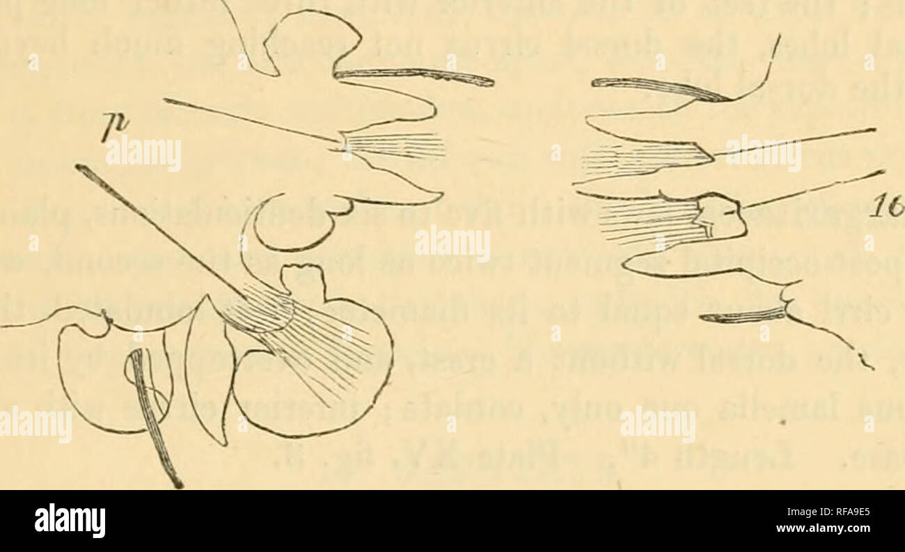 Ig5 hires stock photography and images Alamy