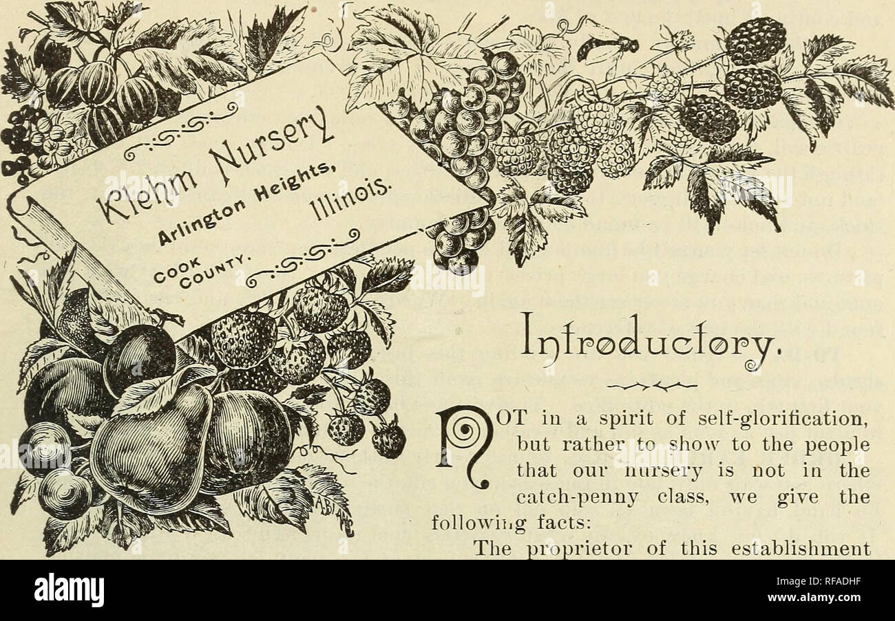 . Catalogue of fruit and ornamental trees, vines, shrubs plants roses