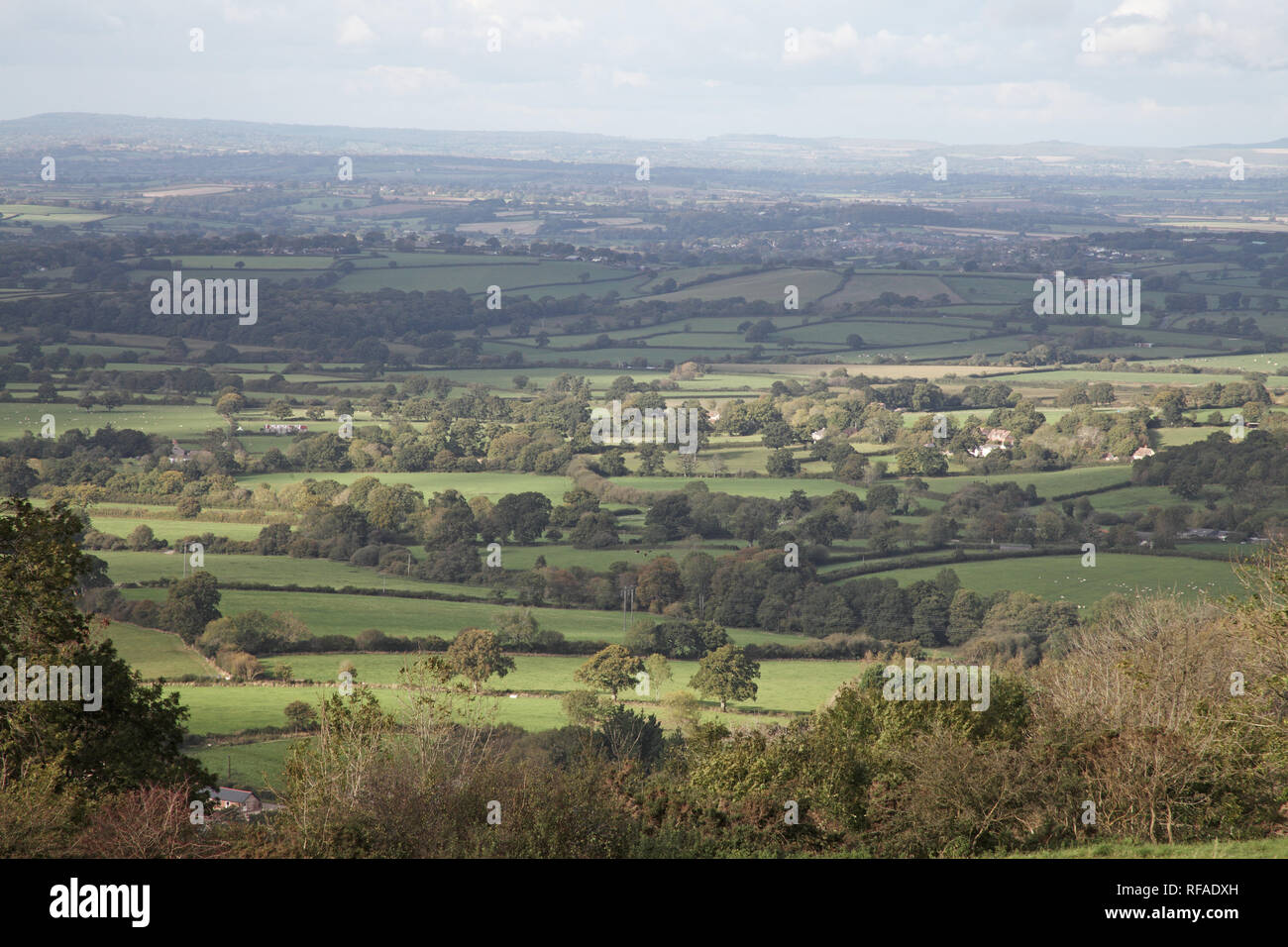 Blackmoor hi-res stock photography and images - Alamy
