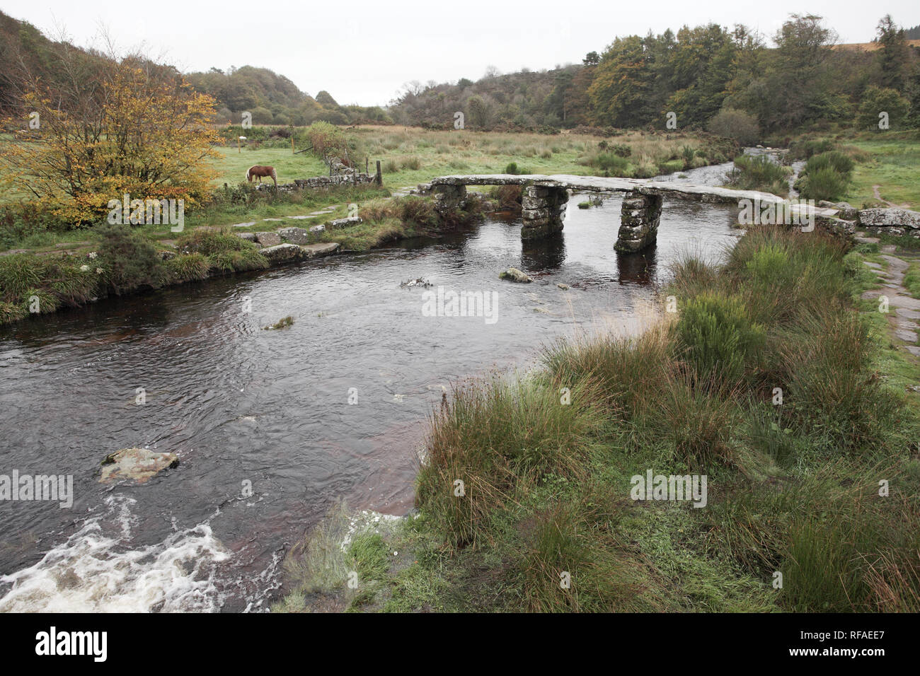 Ancient clapper bridge over the East Dart river at Postbridge Dartmoor ...