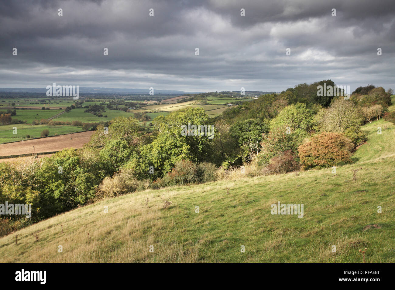 Somerset Levels from Walton Hill in the Poldon Hills Somerset England UK Stock Photo