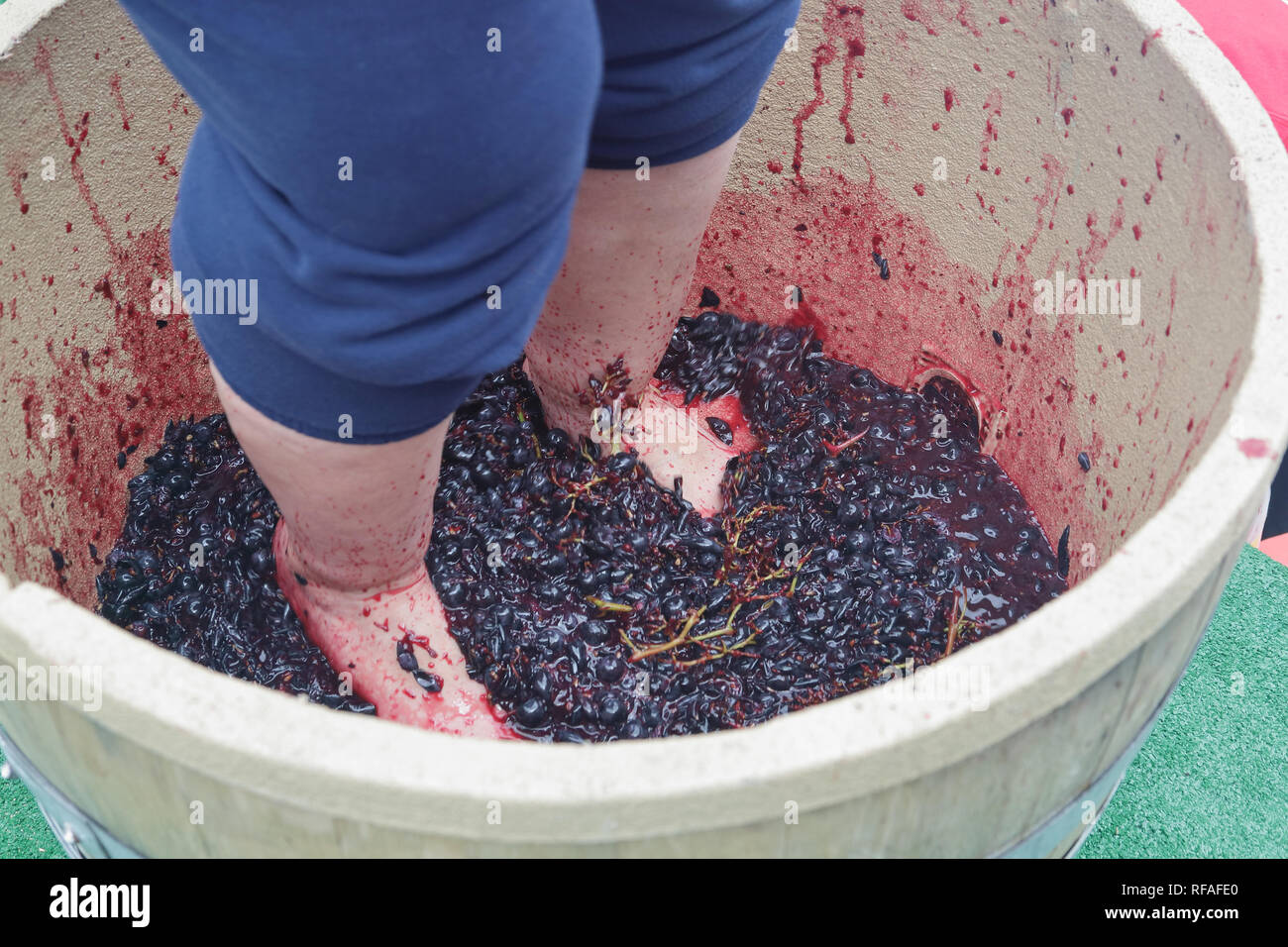 Feet and hand stomping grapes in competition Stock Photo