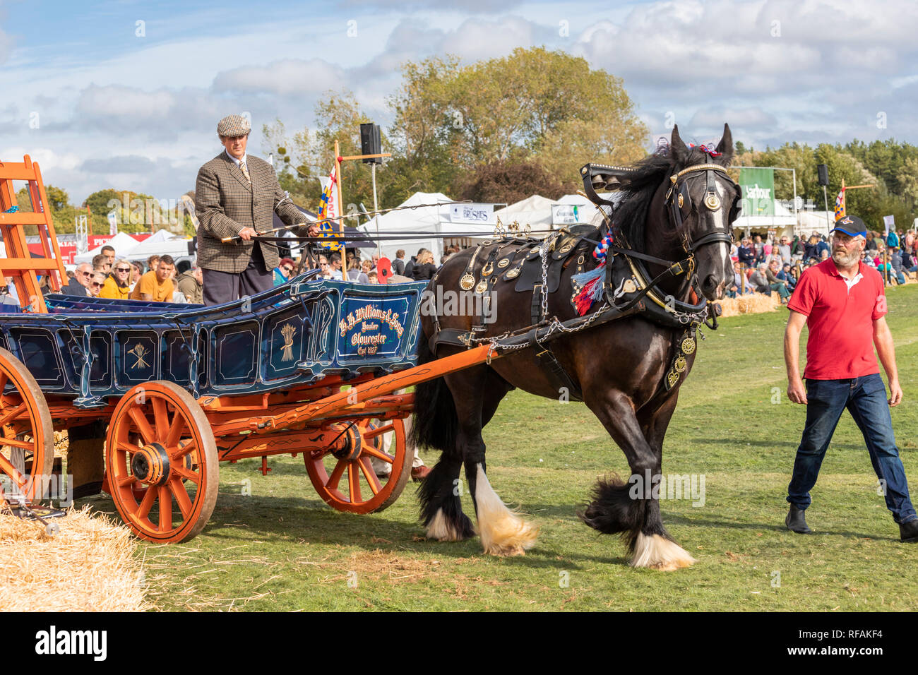 Cart horses hires stock photography and images Alamy