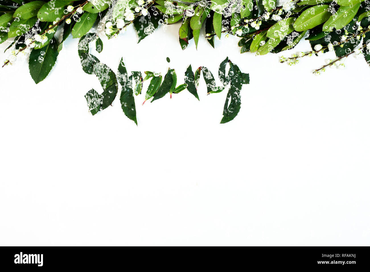 Green leaf with water drop background Stock Photo - Alamy