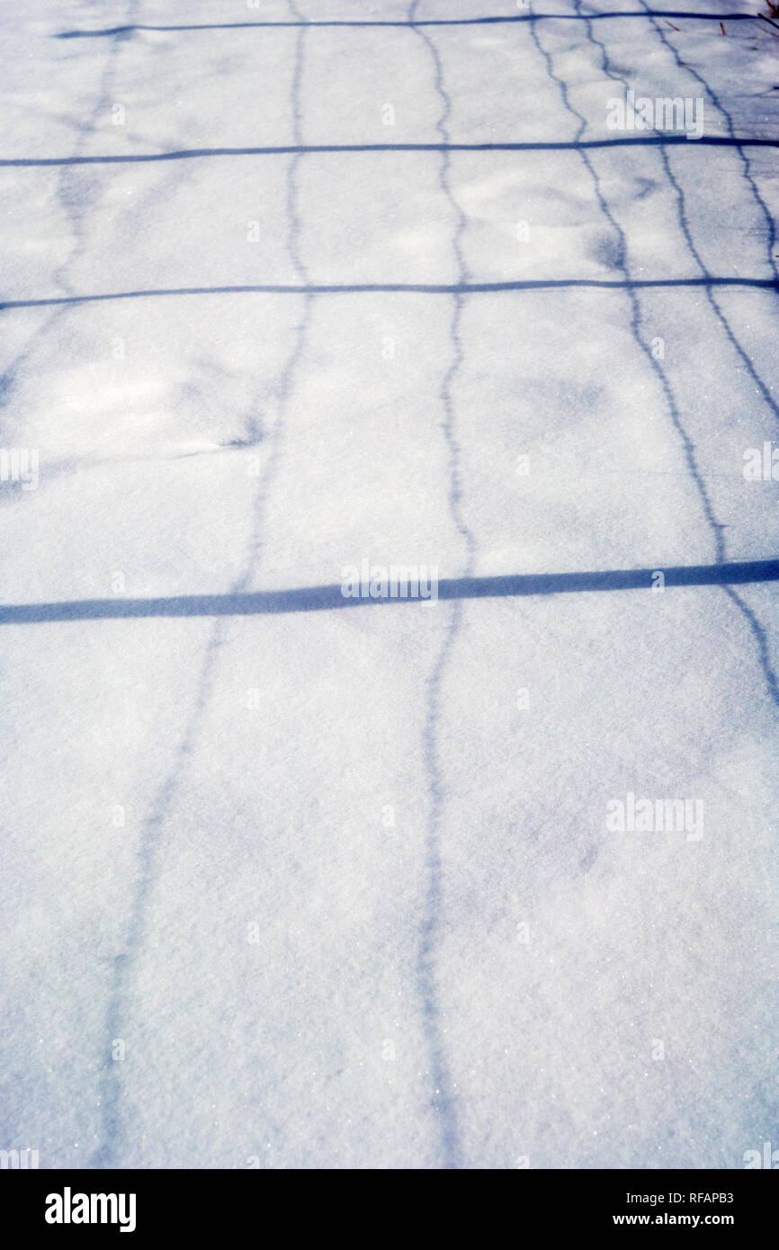 Barbed wire fence casts shadows on fresh snow; Vandaveer Ranch; Salida; Colorado; USA Stock Photo